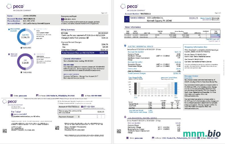 USA Pennsylvania Peco electric and gas rachunek za media, 3 strony